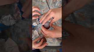 Sürpriz Yumurta Ne Çıktı