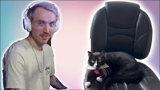 The Collab Chair