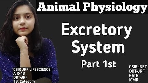 Excretory System Part 1st|Aniaml Physiology CSIR-NET JRF LIFESCIENCE