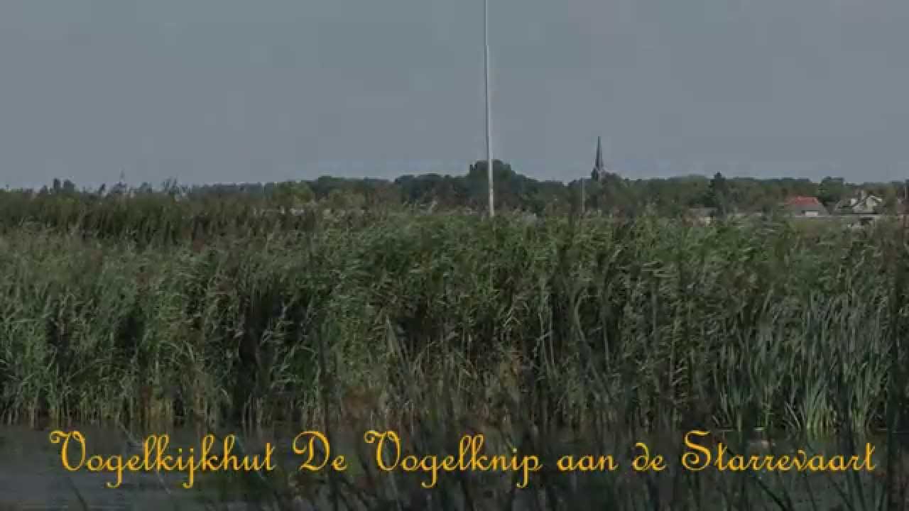 Sfeerimpressie van vogelkijkhut De Vogelknip aan de Starrevaart