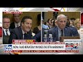 GOP senator TORCHES Fauci: 'Who the f--- do you think you were?!'