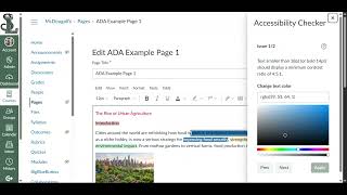 Canvas Accessibility Checker
