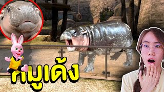Bunny comes to visit Moodeng, the baby hippo, at the Moodeng baby hippo zoo | Mind&Nat screenshot 4