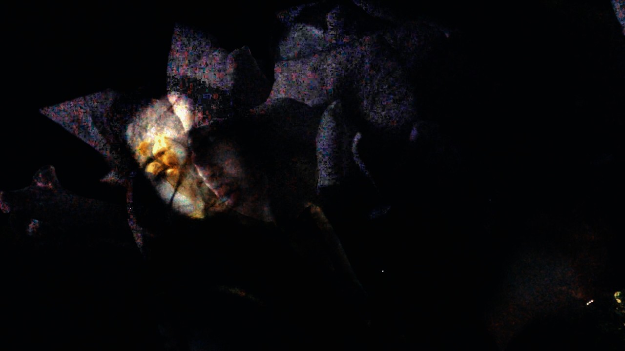 Watch Nikitsunami - Angel (Official Music Video) on YouTube Watch Nikitsunami - Angel (Official Music Video) on YouTube