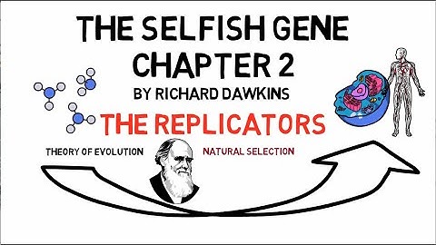 THE SELFISH GENE Chapter 2: The Replicators (by Richard Dawkins) | Animated Summary