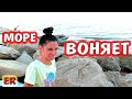 АЛИСА НЕ ХОЧЕТ КУПАТЬСЯ В МОРЕ / ЗООПОКУПКИ / НОВЫЙ ПИТОМЕЦ / ИЗИРОЗА