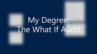 How to Use the What-If Audit