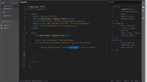 MAT 125   03 Forms   Text inputs, radio buttons, labels