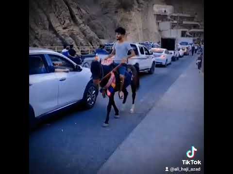 شتێکی تازە نیە باوانم لەوەتەی هەم شاهانەم