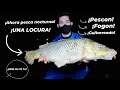 Camping Puente de Paranacito, PESCON, GUITARREADA Y FOGÓN | Pesca nocturna | Pesca.