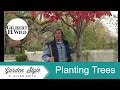 Planting Trees in the Landscape | Garden Style (111)