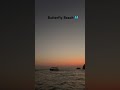 Butterfly Beach Goa || Travel Diaries #goa #butterflybeach #travel #southgoa #southgoabeaches