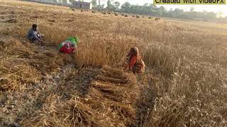 Itwa bajar Pratapgarh up