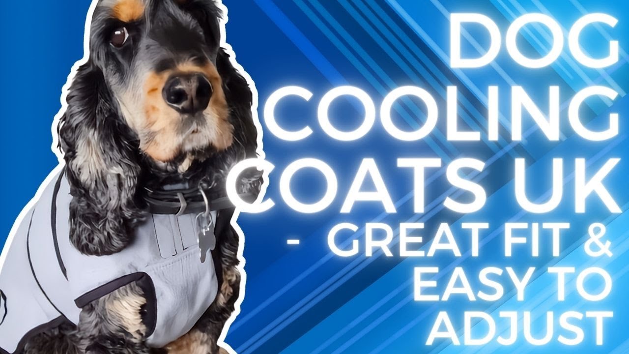 Dog Cooling Coats UK - Great Fit & Easy To Adjust | Pet Devotion