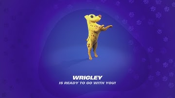 Fortnite Gave 2 Sidekicks in the BATTLE PASS?! (How I Customized My 