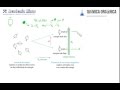 RMN-2. Fundamentos físicos de la resonancia magnética nuclear (RMN)