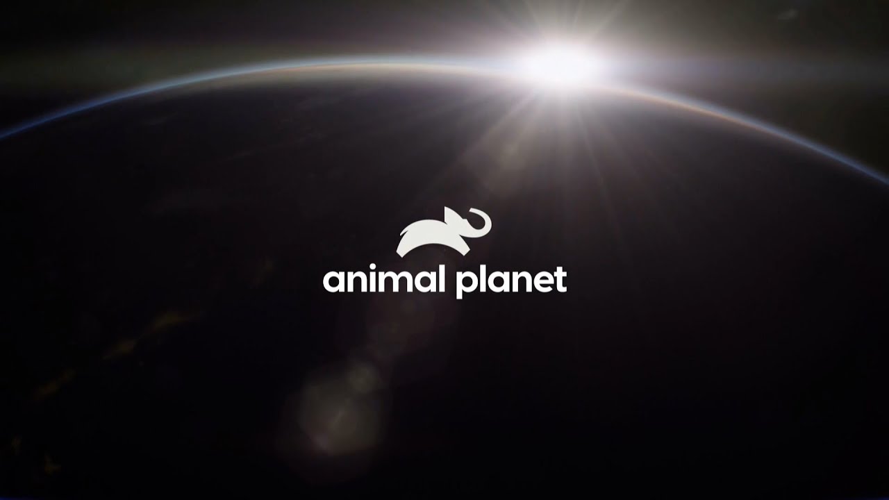 Animal Planet arculat - 2022. február