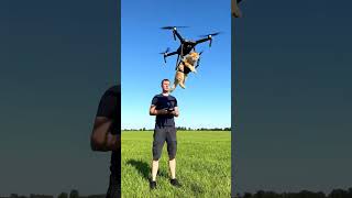 😲 Man Ties Cute Cat to a Drone and Makes It Fly — Unbelievable!