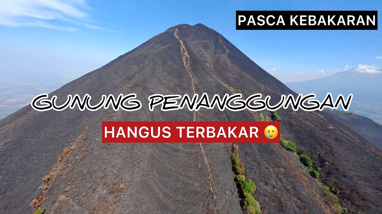 HANGUS !!! GUNUNG PENANGGUNGAN PASCA KEBAKARAN