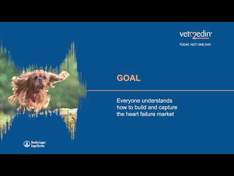 PVTS Portal Vetmedin Brand strategy video