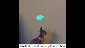 Laser cat teaser interactive toy