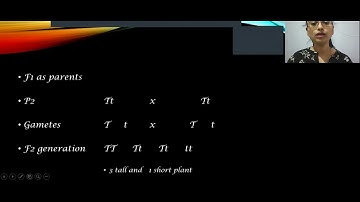 Demo on Heredity and Evolution. #byjus