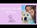 A Day in My Life With a *NEW* Puppy: Golden Retriever Puppy Vlog