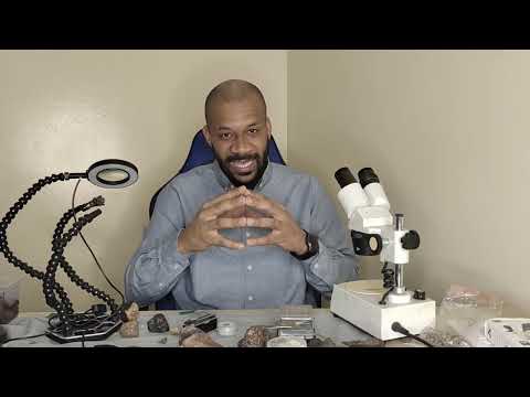 ملعقة السنبلة وحقيقة تمن البيع