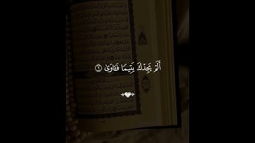 القارئ فارس عباد😴❤️#حالات واتس اب دينية قصيرة💛#ارح سمعك تلاوة هادئة تنسيك هموم الدنيا كلها