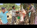 Eid Al Adha In Leila S Village Selling Lambs Family Gathering Sharing The Sacrifice 