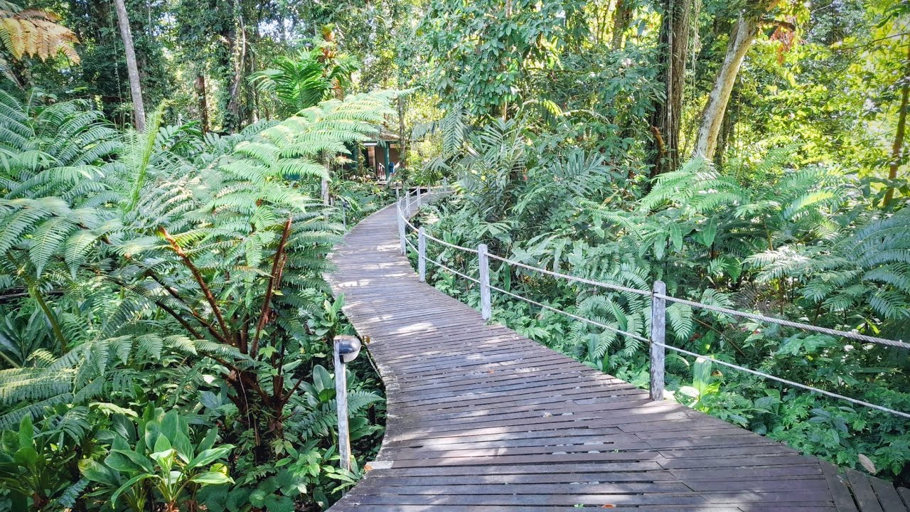 Исследование самой большой (или второй по величине) пещеры в мире и её окрестностей.