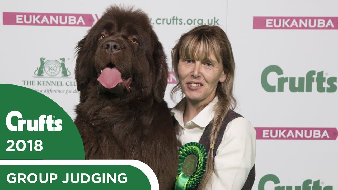 crufts 2018 winners