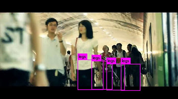 Detection of human legs using YOLO9000