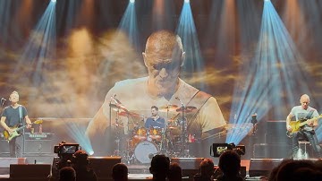 Sting - Never Coming Home - (Live Berlin 2025) 4K