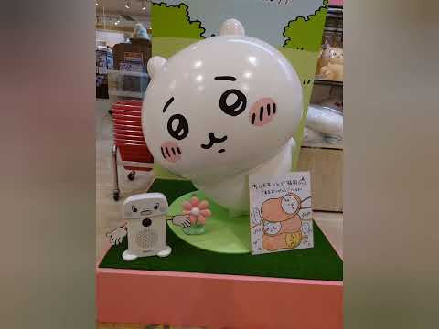 【Vtuber】とあるVtuberのヲタ活Vlog【猫月 桃華】