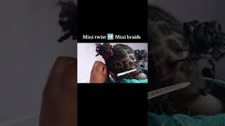 MINI TWIST ➡️ MINI BRAIDS PT1#naturalhair #haircare #4chair