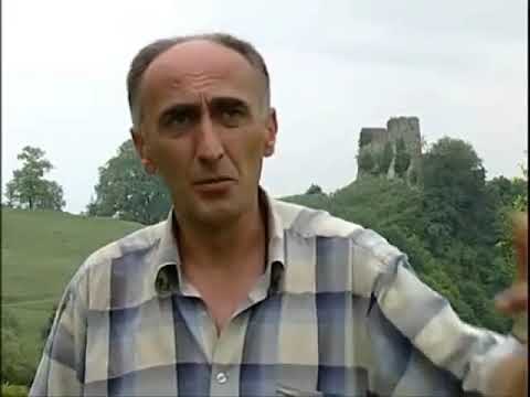 zviad gamsaxurdia 2 დინების საწინააღმდეგოდ