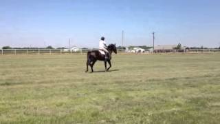 Diva flatwork