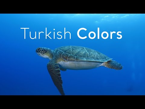 Turkish Colors ReTurkiye | Go Türkiye