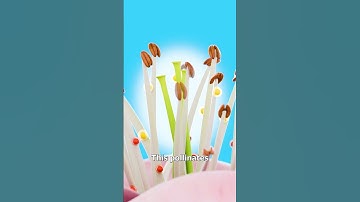 Robot Bees Pollinate Fruit Trees 😮