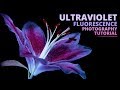 How to shoot UV Fluorescence photos of flowers | Macro Photography Tutorial