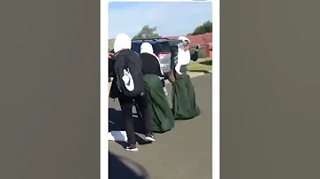 هجوم حيوان ع فتاة جعلها تخلع ملابسها وتصرخ 