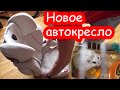 VLOG Поиски Цацы. Новое автокресло