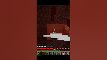 Hoglin attack on me in Minecraft nether world#minecraft#gaming #hunting#hoglin#nether#minecrafthumor