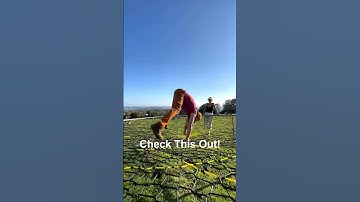 Oh the things you can do on spacenets 🙃 #spacenet #treenet #weaving #treeweave #weave #custom #park