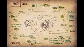 Abdomen agudo: Clínica y exploración física