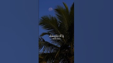 تلاوة من سورة الأحزاب|سعود الشريم #islam #قرآن #اجر_لي_ولك #سعود_الشريم #سورة_الاحزاب