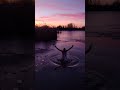 Cold water plunge in an amazing scenery #sunrise #miraclemorning #wimhofmethhod