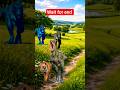Big dinosaur Chase T-Rex chasing part 026 #shorts #dinosaur #dinosaurs #youtubeshorts #mjsfunny