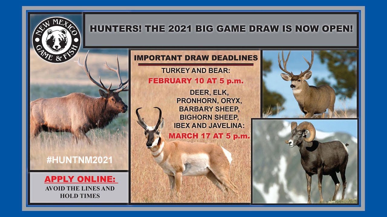 7 Tips To Help You Apply for the 2021 2022 Big Game Draw YouTube